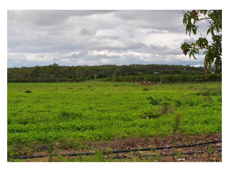 446 Chewko, Mareeba QLD 4880