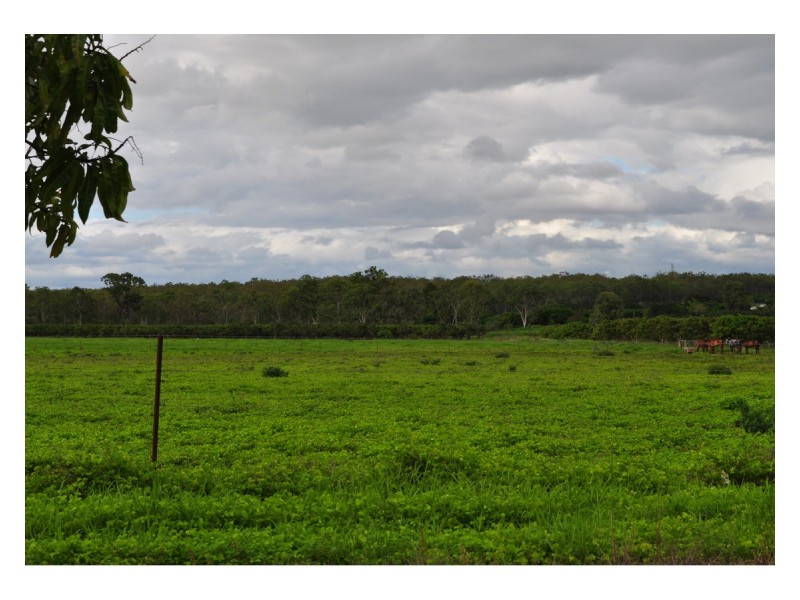 446 Chewko, Mareeba QLD 4880