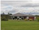 Shanty Creek Road, Mareeba QLD 4880