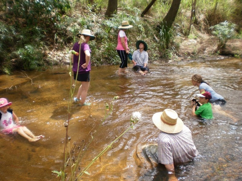 Shanty Creek Road, Mareeba QLD 4880