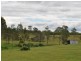 Shanty Creek Road, Mareeba QLD 4880