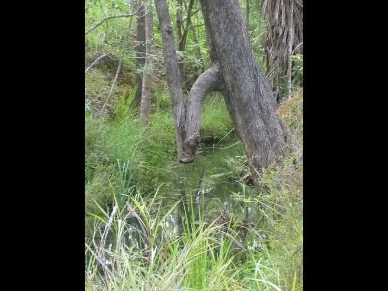 1/ Emerald Falls Road, Mareeba QLD 4880