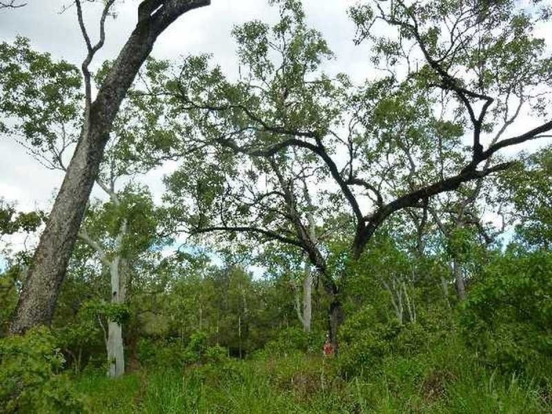 1/ Emerald Falls Road, Mareeba QLD 4880