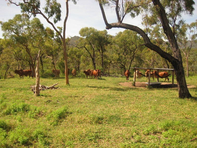 Proposed lot 97 – 99 Braund, Dimbulah QLD 4872