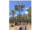 1/ Braund Road, Dimbulah QLD 4872