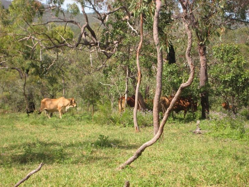 Proposed lot 97 – 99 Braund, Dimbulah QLD 4872