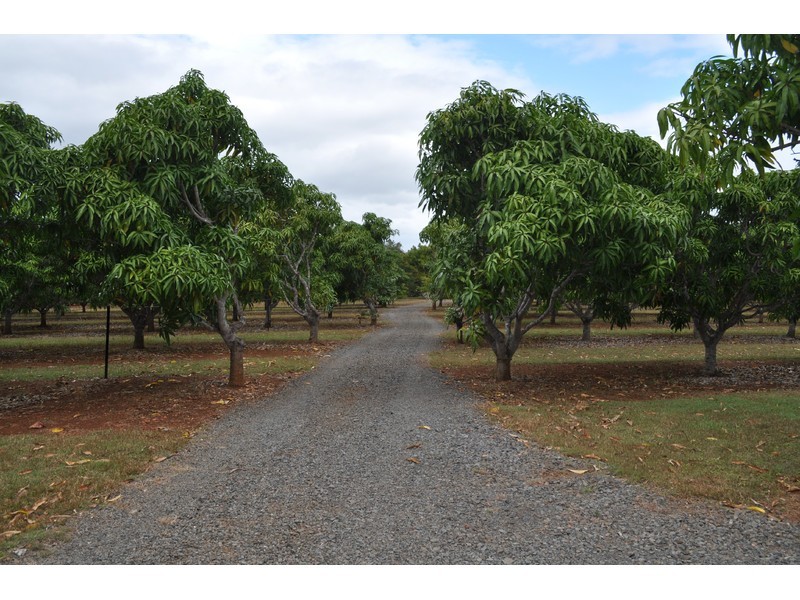 41 Cypress Road, Biboohra QLD 4880