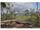 41 Cypress Road, Biboohra QLD 4880