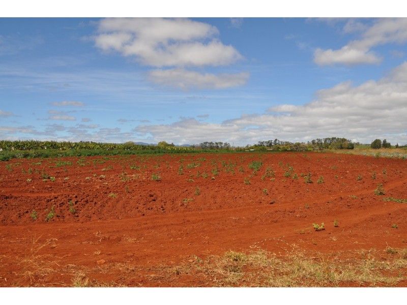 Lot 141, 531 Hansen Road, Walkamin QLD 4872
