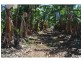 Lot 141, 531 Hansen Road, Walkamin QLD 4872