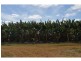Lot 141, 531 Hansen Road, Walkamin QLD 4872