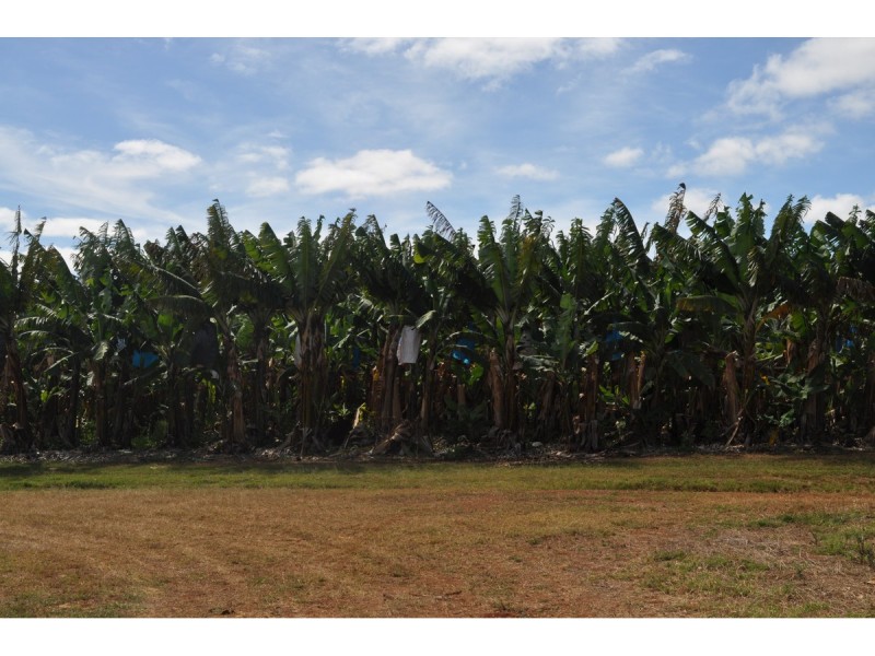 Lot 141, 531 Hansen Road, Walkamin QLD 4872