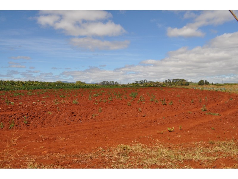 Lot 141, 531 Hansen Road, Walkamin QLD 4872