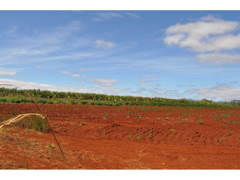 Lot 141, 531 Hansen Road, Walkamin QLD 4872