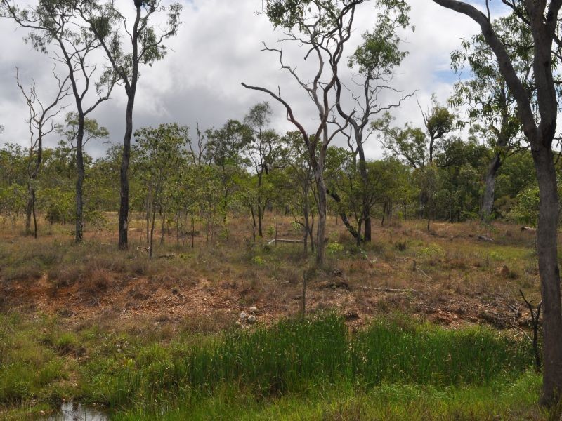 Mareeba QLD 4880