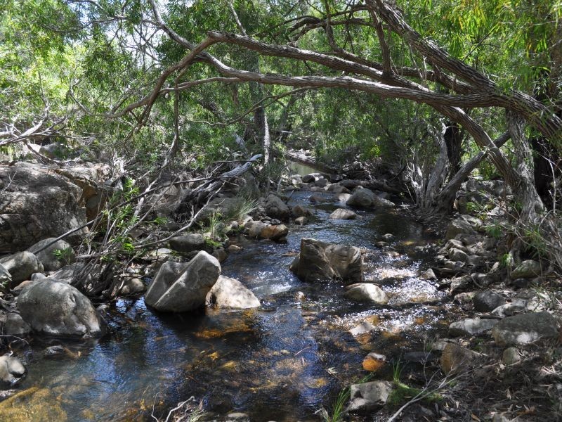 Mareeba QLD 4880