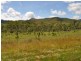 Mareeba QLD 4880