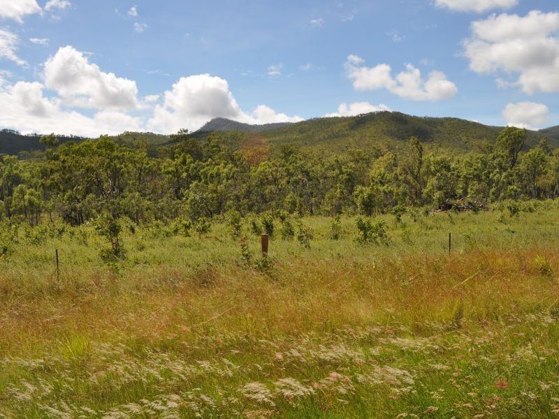 Mareeba QLD 4880
