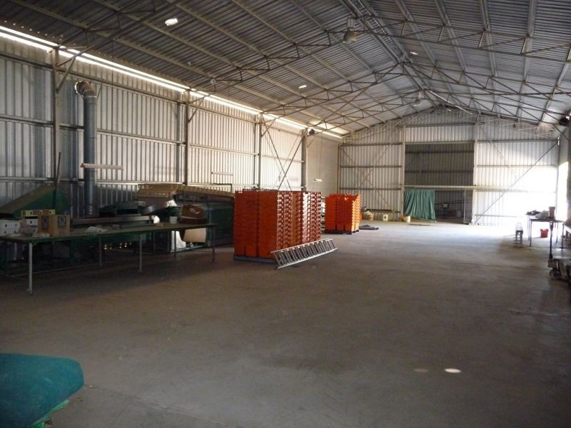 Mutchilba QLD 4872