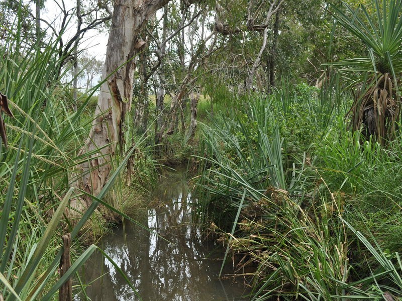 Mareeba QLD 4880