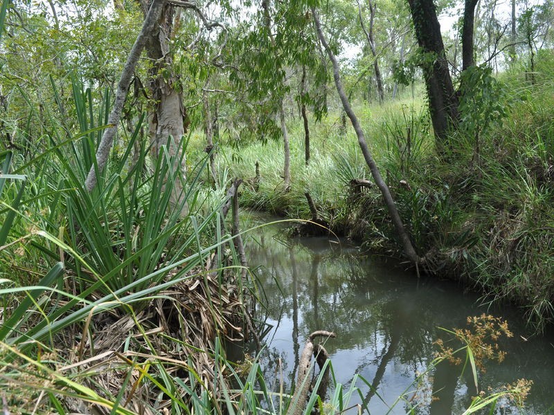 Mareeba QLD 4880