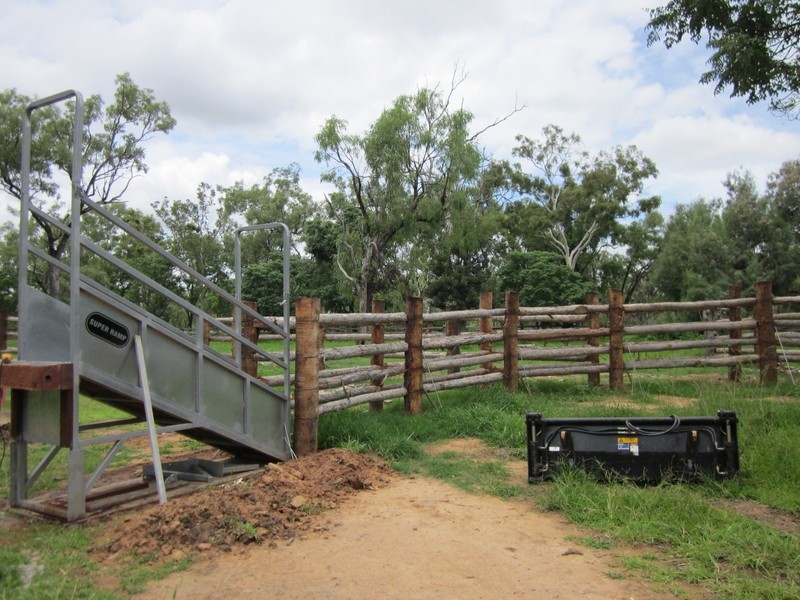 Mount Carbine QLD 4871