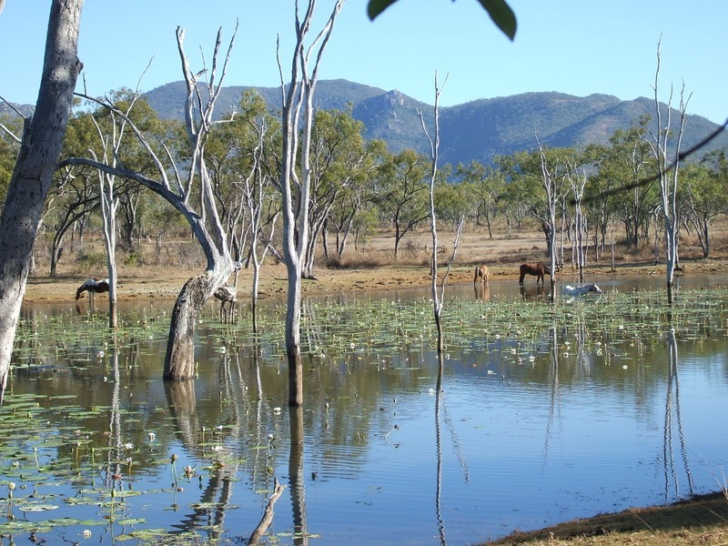 Mount Carbine QLD 4871