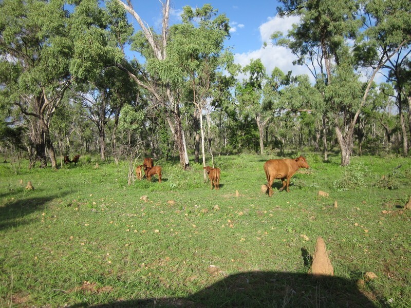 Mount Carbine QLD 4871