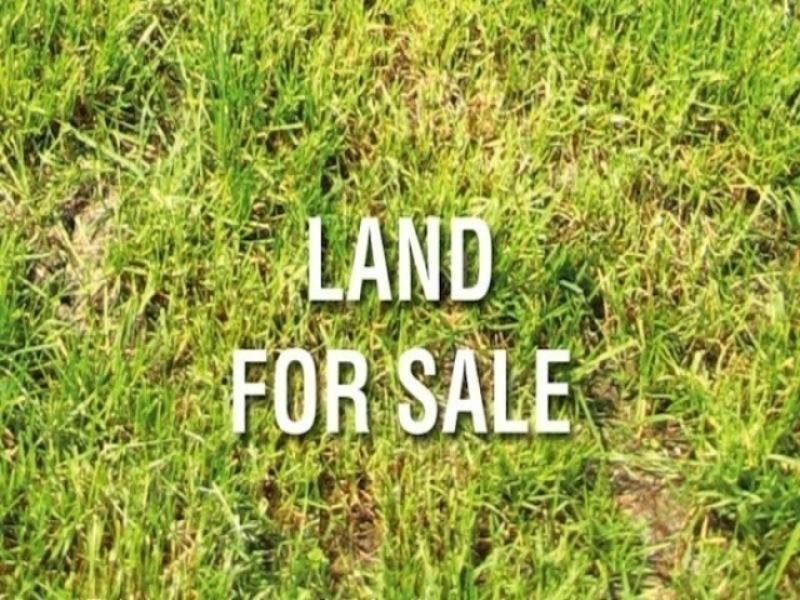 94 Dunlop Road, Bittern VIC 3918