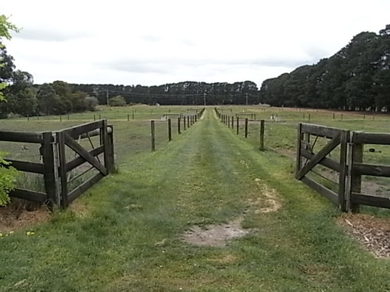 50 Graydens Road, Tyabb VIC 3913