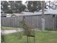 2558 Frankston Flinders Road, Bittern VIC 3918