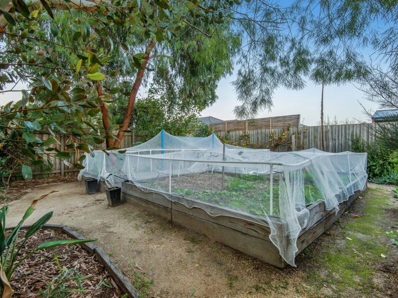 7 Matthew Circuit, Hastings VIC 3915