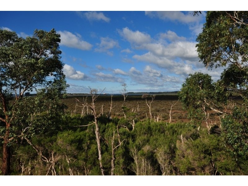 56 Warranqite Crescent, Hastings VIC 3915