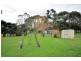 352 Disney Street, Bittern VIC 3918