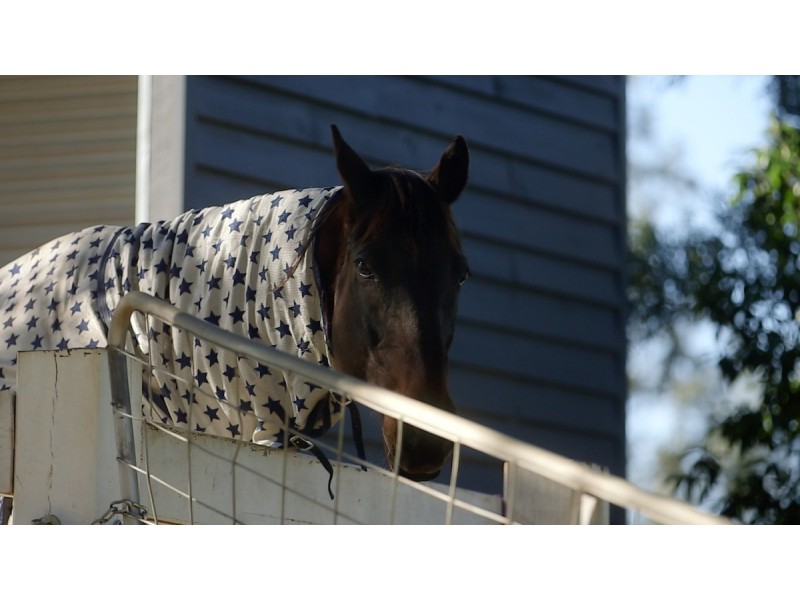 157 O’Brien Road, Pullenvale QLD 4069