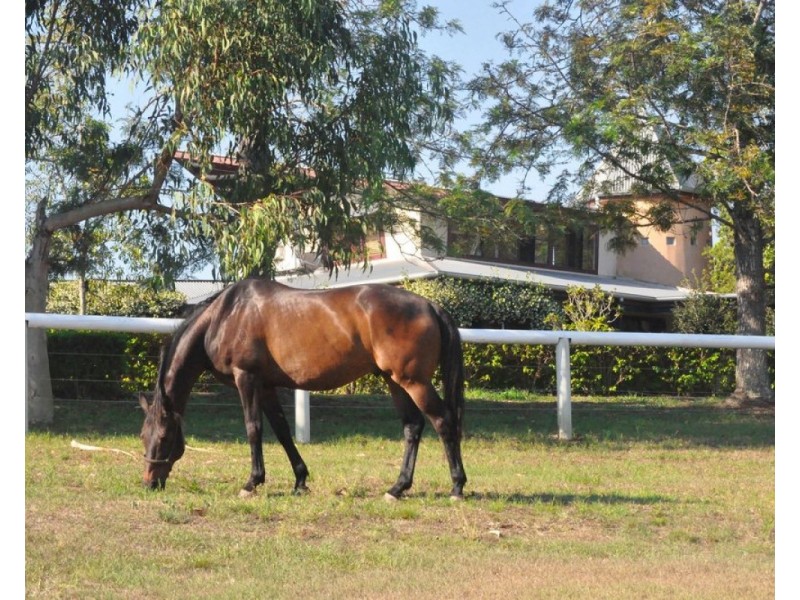 63 McMullen Road, Brookfield QLD 4069