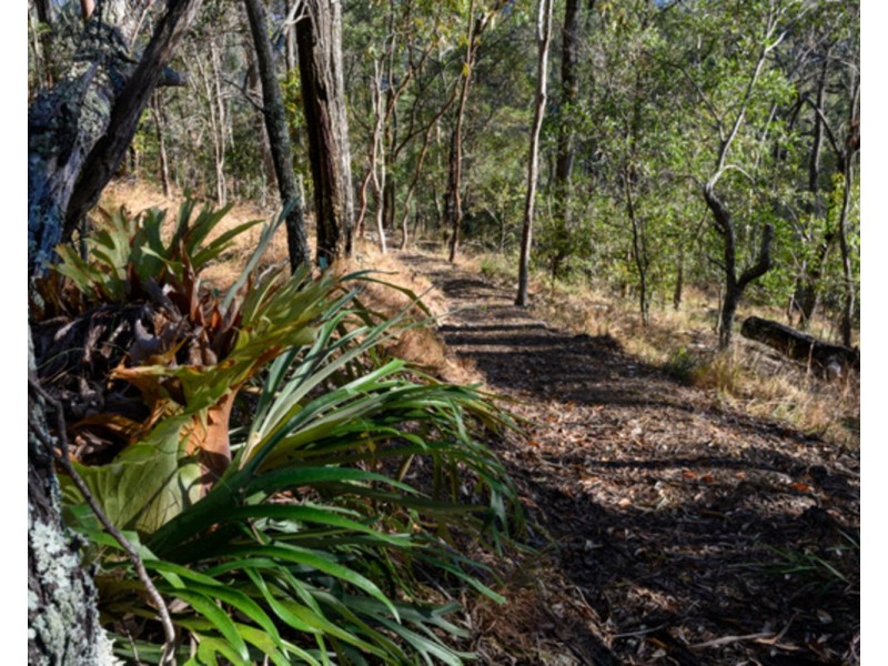 703 Haven Road, Upper Brookfield QLD 4069