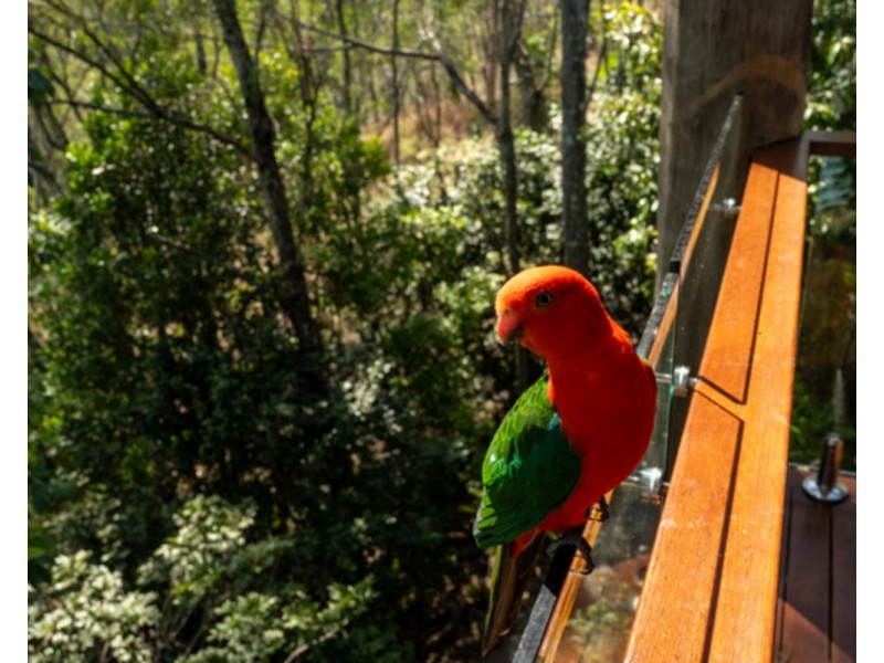 703 Haven Road, Upper Brookfield QLD 4069