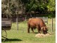 6 Dolman Road, Anstead QLD 4070