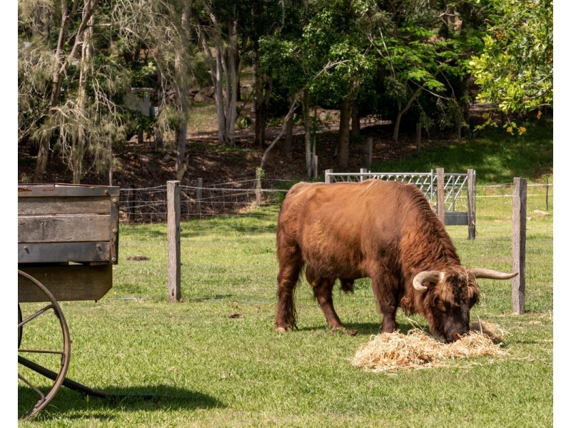 6 Dolman Road, Anstead QLD 4070