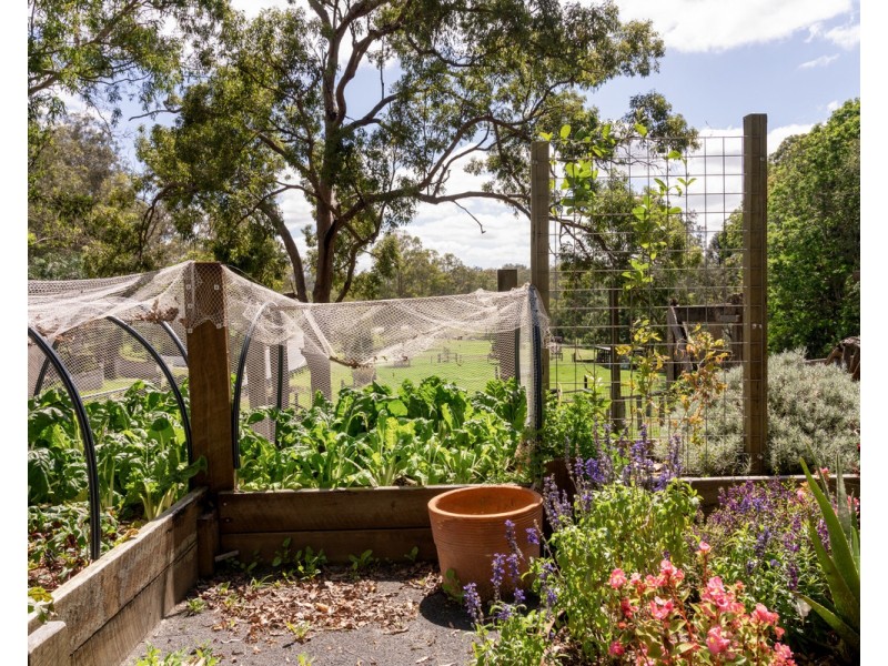 6 Dolman Road, Anstead QLD 4070