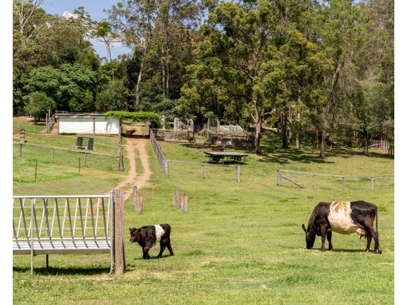 6 Dolman Road, Anstead QLD 4070
