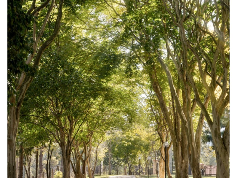 246 Sugars Road, Anstead QLD 4070