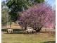 16 O’Brien Road, Pullenvale QLD 4069
