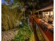 16 Kowhai Street, Kenmore QLD 4069