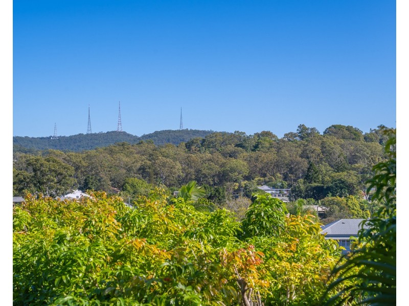 38 Fernberg Road, Paddington QLD 4064