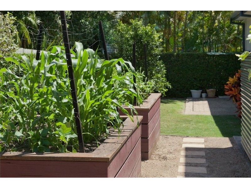 99 Cubberla St, Fig Tree Pocket QLD 4069