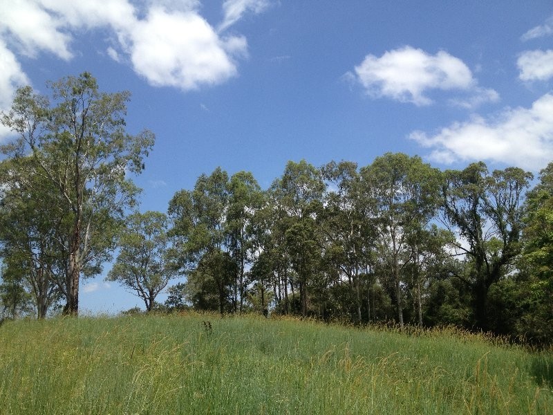 Upper Coomera QLD 4209