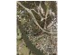Ashmore QLD 4214