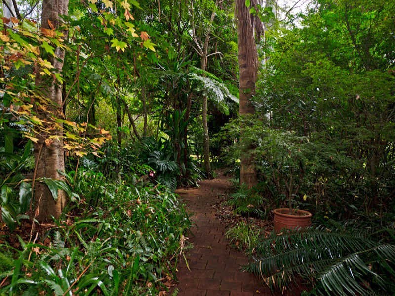 North Tamborine QLD 4272